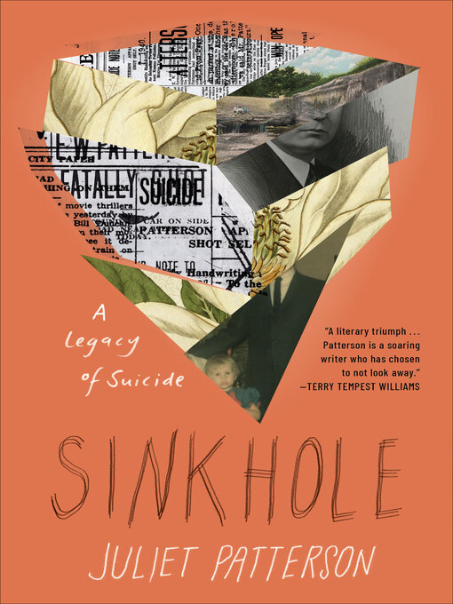 Title details for Sinkhole by Juliet Patterson - Available